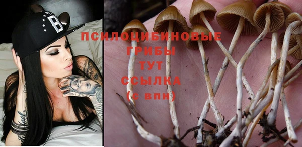марки nbome Богородицк