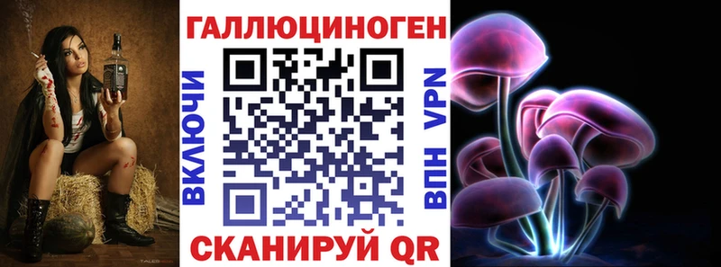 Псилоцибиновые грибы Psilocybe Егорьевск