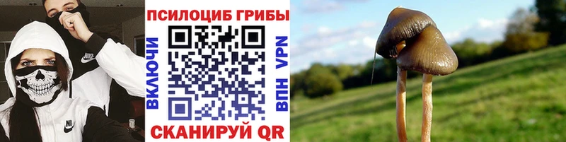 как найти Егорьевск Псилоцибиновые грибы ЛСД